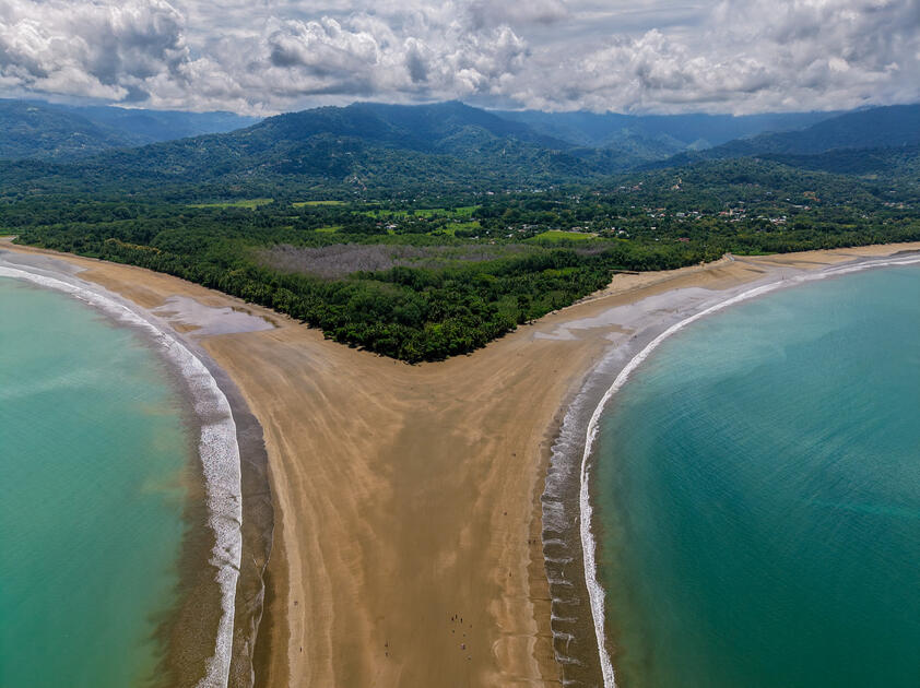 La naturaleza es arte