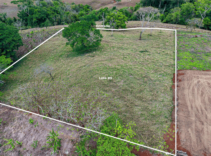 Lote a la venta- Hojancha- Monteromo-CR Lote a la venta- Hojancha- Monteromo-CR